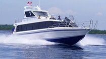 Fast Boat Transfer Sanur to Nusa Penida by Penidago