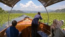 Full Day Private Tour - NP Skadar Lake with Wine Tasting
