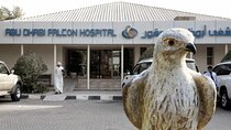 Private Trip to Abu Dhabi Mosque and Falcon Hospital