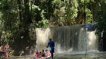 Appleton estate,YS Falls,Black River Safari,Pelican Bar(any 3of4)