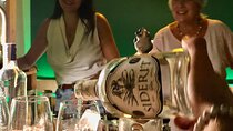 Madrid Gin Workshop: Discover Spanish Gins, Botanicals & Tapas