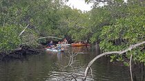 One Way Ticket To Paradise Ft. Lauderdale Exploration Paddle Tour