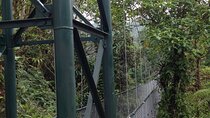 Canopy Tour in The Fabulous Hanging Bridges from San José