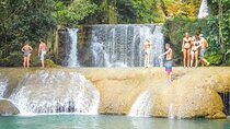 Appleton Rum Estate and Ys Falls From Montego Bay 