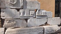 Learn Latin on Field: Guided Lesson and tour in the Heart of Ancient Rome