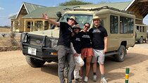 6 Days Essence of Tanzania Wildlife Safari