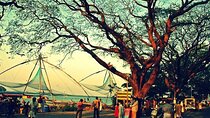 Daily Conducted Group Tours from Fort Kochi