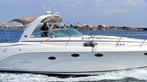 Private Luxury 45' Bay Cruiser Tour in San Diego: Suitable for Any Events
