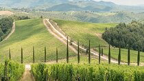 Private Chianti Winery Tour from Livorno with pick up and drop off