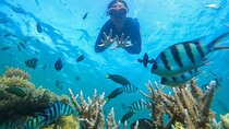 Bali Blue Lagoon Snorkeling Tour with Lunch, Private Transfer