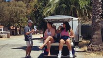 Catalina Island Private Guided Golf Cart Tour of Avalon