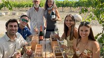 Cava tour to 3 family wineries with hotel pick-up