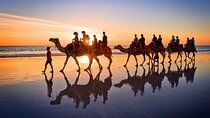 Agadir Sunset Camel Ride with Hotel Transfers