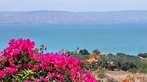 Galilee Day Tour