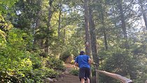 Vancouver's Natural Stair Master Workout, With Beach Walk