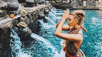 Ubud Tour (Monkey Forest, Tirta Empul Temple, Waterfall, Rice Terrace and Swing)