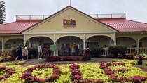"The Dole Plantation" & "North Shore" Private Limousine VIP Tour!