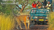 Private Tour to Ranthambore Tiger Reserve from Jaipur
