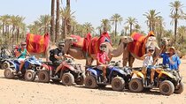 Marrakech : Camel Ride and Quad Bike in Palmeraie