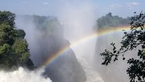 Guided Falls Tour & Zambezi River Cruise Combo