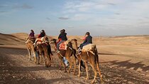 Camel Ride in Agafay Desert from Marrakech