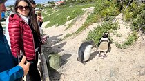 Private Tour Cape Point, Cape Of Good Hope and Penguins