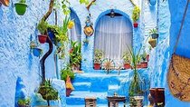 Full-Day Tour to the Blue City Chefchaouen on Small-Group
