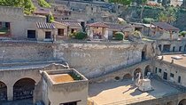 Private Tour in Herculaneum with an authorized guide