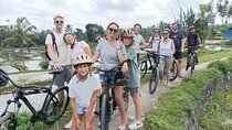Downhill Bali Countryside Cycling Tour in Ubud