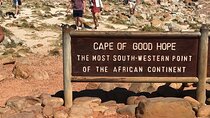 Cape Peninsula Tour