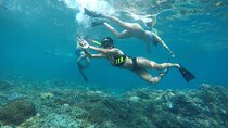 Daily West Nusa Penida Island and Snorkeling Tour with Lunch from Bali