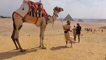 Private Tour of the Pyramids, Egyptian Museum and Bazaar from Cairo Giza hotels