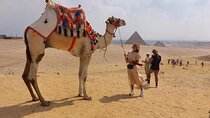 private Taxi from the airport to Giza pyramids and Sphinx