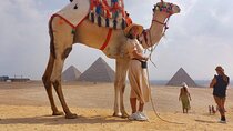 Cairo city ,Giza pyramids and Alexandria highlights 3 private days