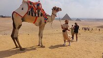 Private tour full day Giza pyramids sphinx valley temple and Egyptian museum