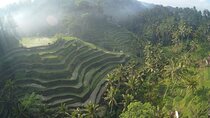 Best Bali Private Full Day Tour to Visit Ubud Village - Kintamani Batur Volcano