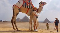 Giza pyramids ,Sphinx ,Egyptian Museum ,Camel Ride include entry fees