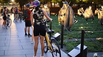 Washington DC Sites at Night Guided Bicycle Tour