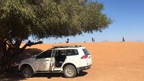 Day trip from Agadir to Massa in 4X4