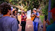 Bossa Nova Walking Tour