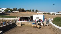 Mykonian Farm Experience