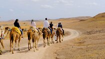 Dinner in the Agafay desert with camel ride included