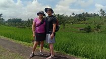 Bali Tours