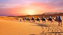 11 Days Grand Morocco Tour from North to South
