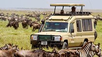 13 Days Best of Kenya and Tanzania BudgetSafari 