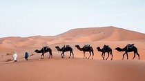 3 Days Tour Marrakech to Merzouga