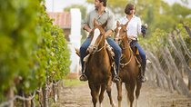Horseback Riding in Mendoza through the vineyards and river with optional Asado.