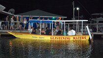 Luminous Lagoon Nighttime Boat Tour from Montego Bay