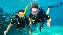 Premium Guided Dive Trip - Outer Great Barrier Reef