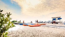 Qatar Kayaking Adventure-Mangrove at Purple Island W/Pick & drop
